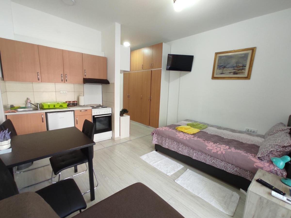 Banja Koviljača Apartman Goca מראה חיצוני תמונה